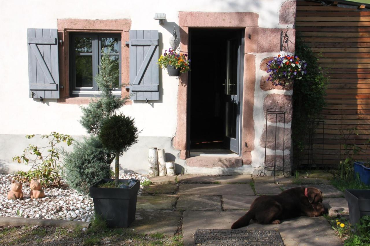 La Colline Du Baa - Maison D'Hotes D'Exception Lapoutroie Exterior photo